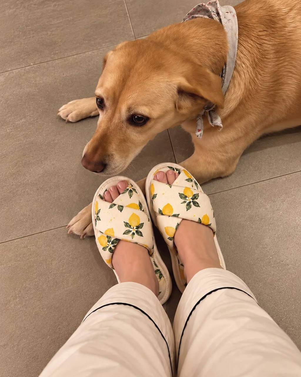Chinelo Delicata Trançado, foto 4 de 7